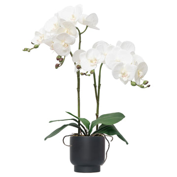 Orchids Artificial Flowers Real Touch Fake Flowers in Ceramic Pot 20" White Faux Orchid Plant Lifelike Silk