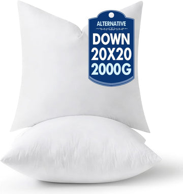 20x20 Pillow Inserts,Down Alternative Throw Pillows - Set of 2
