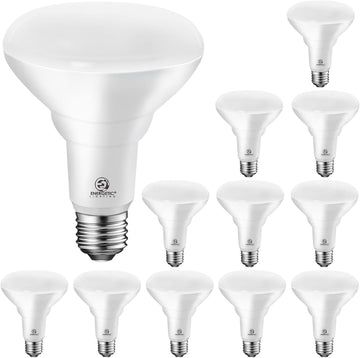 LED Recessed Light Bulbs BR30, 105W Equivalent, 1500LM, Dimmable, Daylight 5000K, Indoor Flood Lights for Recessed