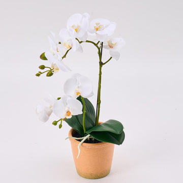 15-Inch Real Touch Artificial Phalaenopsis Orchid in Pot, White