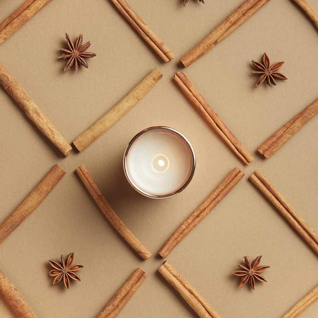 Scented Candles Decor - Luxury Home Fragrance Gifts for Women & Men - Fall Candles with Warm Notes of Apple, Clove, &