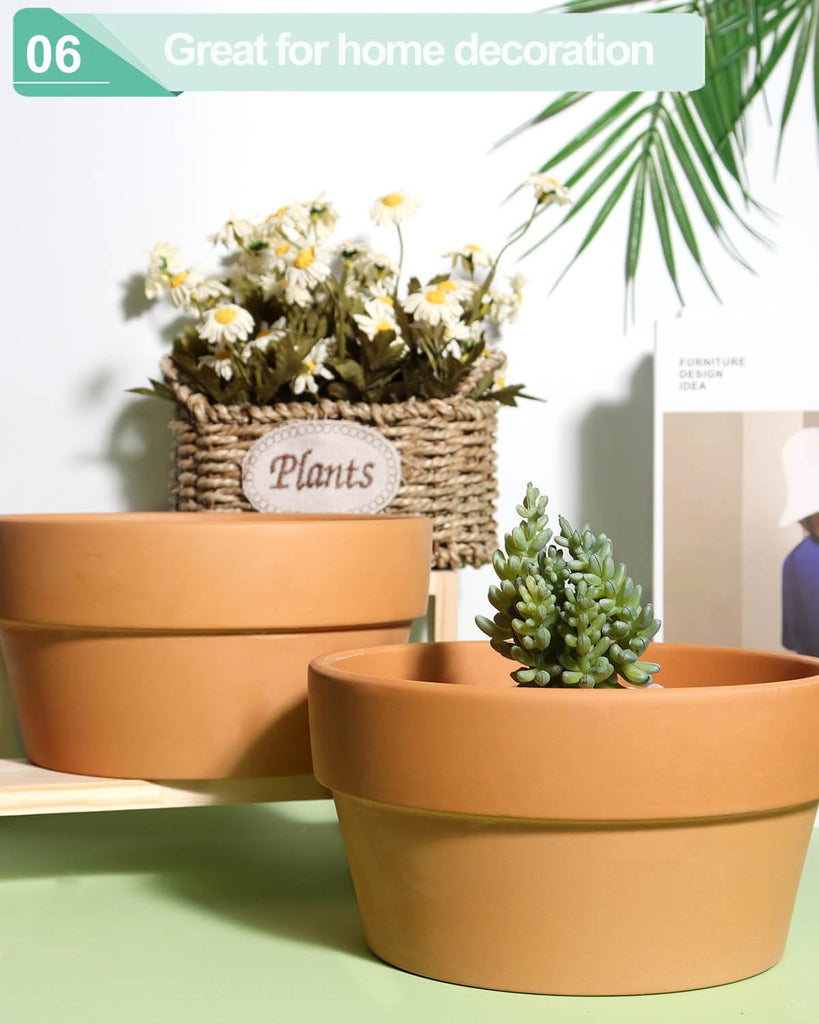 8 Inch Terracotta Shallow Planter Pots, 2 Pack, Drainage Hole