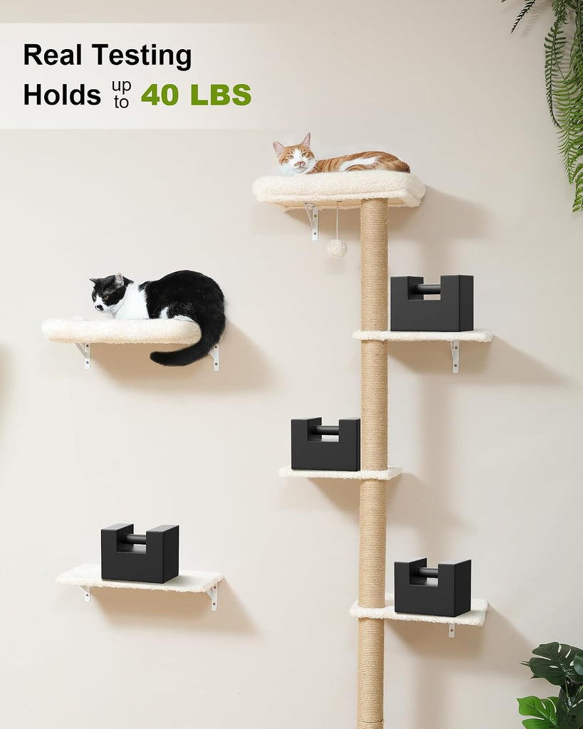 Cat Wall Shelves Set, 70 inch Wall Mounted Tree, Beige
