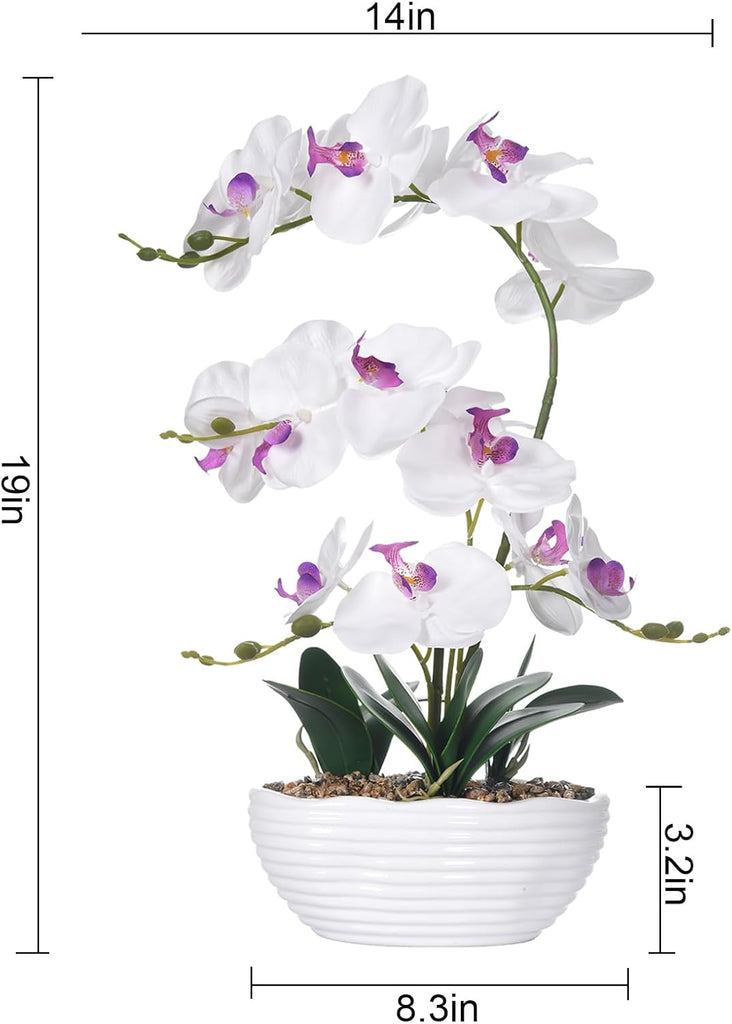 Large Silk Orchid in Wave Pot 19" Phalaenopsis Centerpiece for Table, White