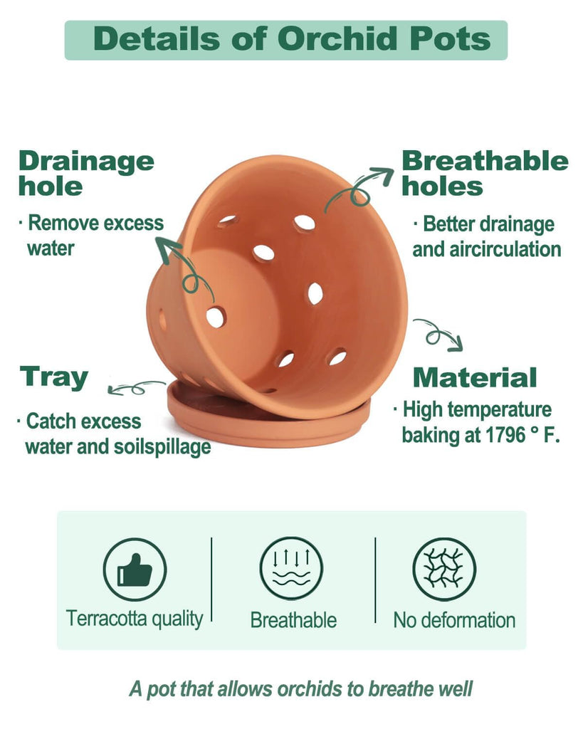 8 Inch Terracotta Orchid Pots with Holes and Saucers - 2 Pack Clay Orchid Planter Pots for Repotting, Breathable