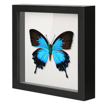 12x12 Shadow Box Frame with Linen Backboard & Real Glass, Wood Display Case, Deep Showcase to Hang The Photos