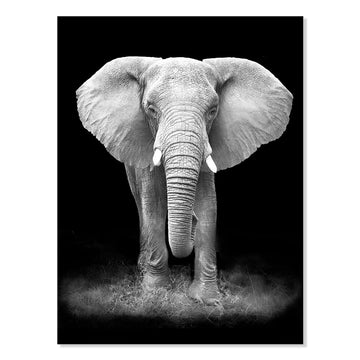 Modern Black And White Animals Picture Prints Elephant Portrait Wildlife Nature Photography Artwork Living Room