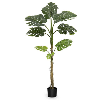 5ft 3in Artificial Monstera Plant - Realistic Faux Indoor Decor