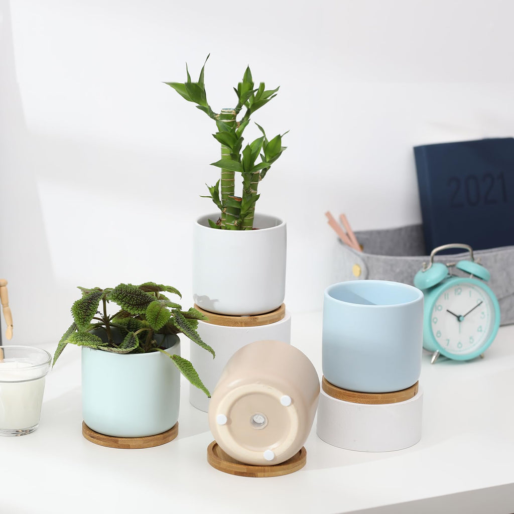 4 Inch Planters with Drainage Hole and Saucer, Small Ceramic Cylinder Plant Pot with Trays for Succulent, Aloe