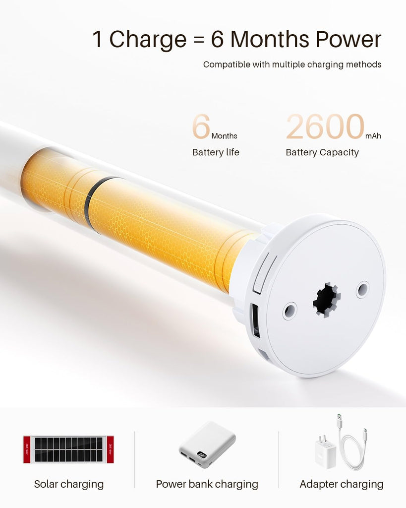 Smart Roller Shades for Windows, Compatible with Alexa, Gray