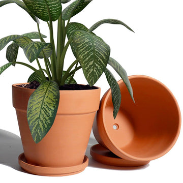 8 Inch Clay Pot for Plant with Saucer - 2 Pack Large Terra Cotta Plant Pot with Drainage Hole, Clay Planters Pot