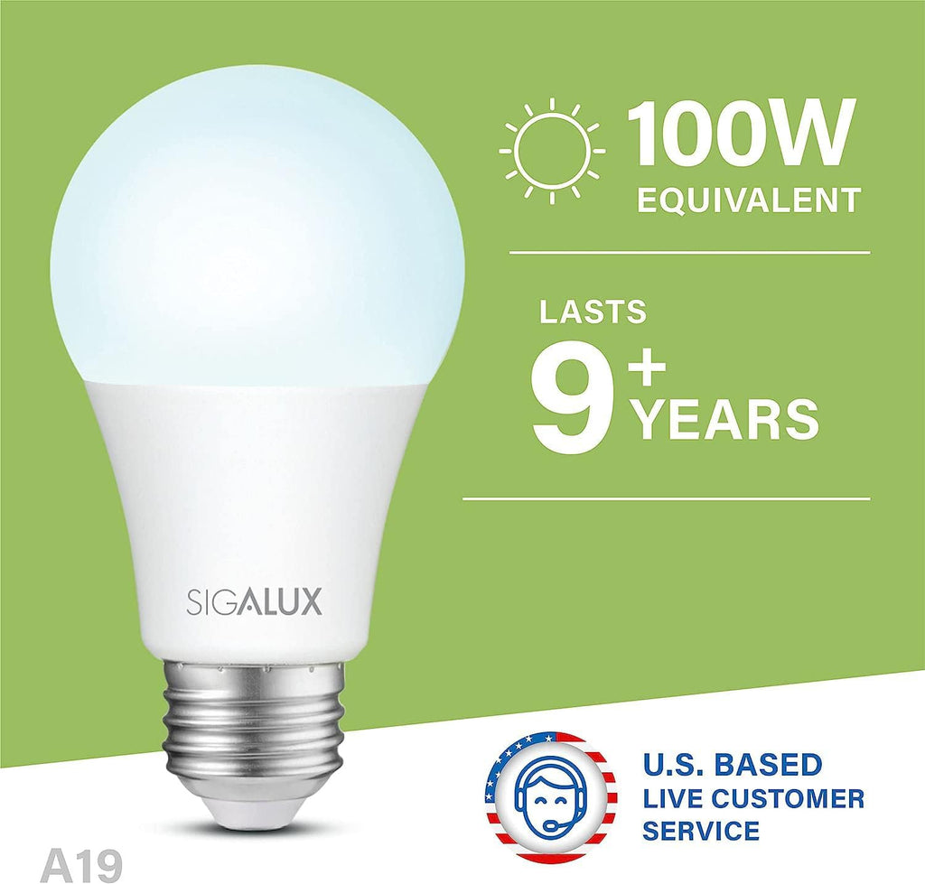 Light Bulbs 100 Watt Equivalent LED Bulbs, A19 Daylight Standard Light Bulbs 5000K White,Non-Dimmable 13W Energy