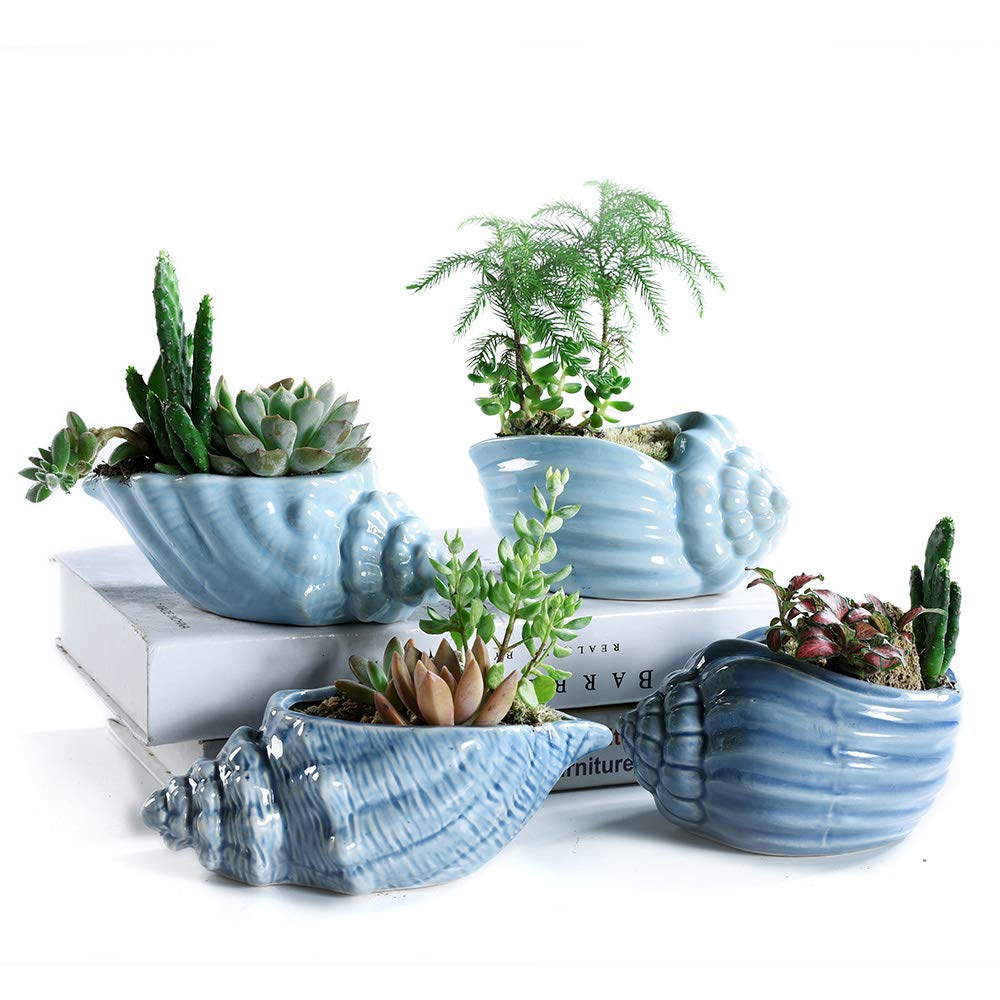 5.5" Conch Shell Succulent Pots, Ceramic Ocean Planters with Hole, 4 Pack