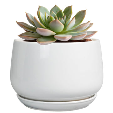 Ceramic Pots for Plants - 6 Inch Planter for Indoor Plants, Flower Pots with Drainage and Ceramic Tray, Modern Office