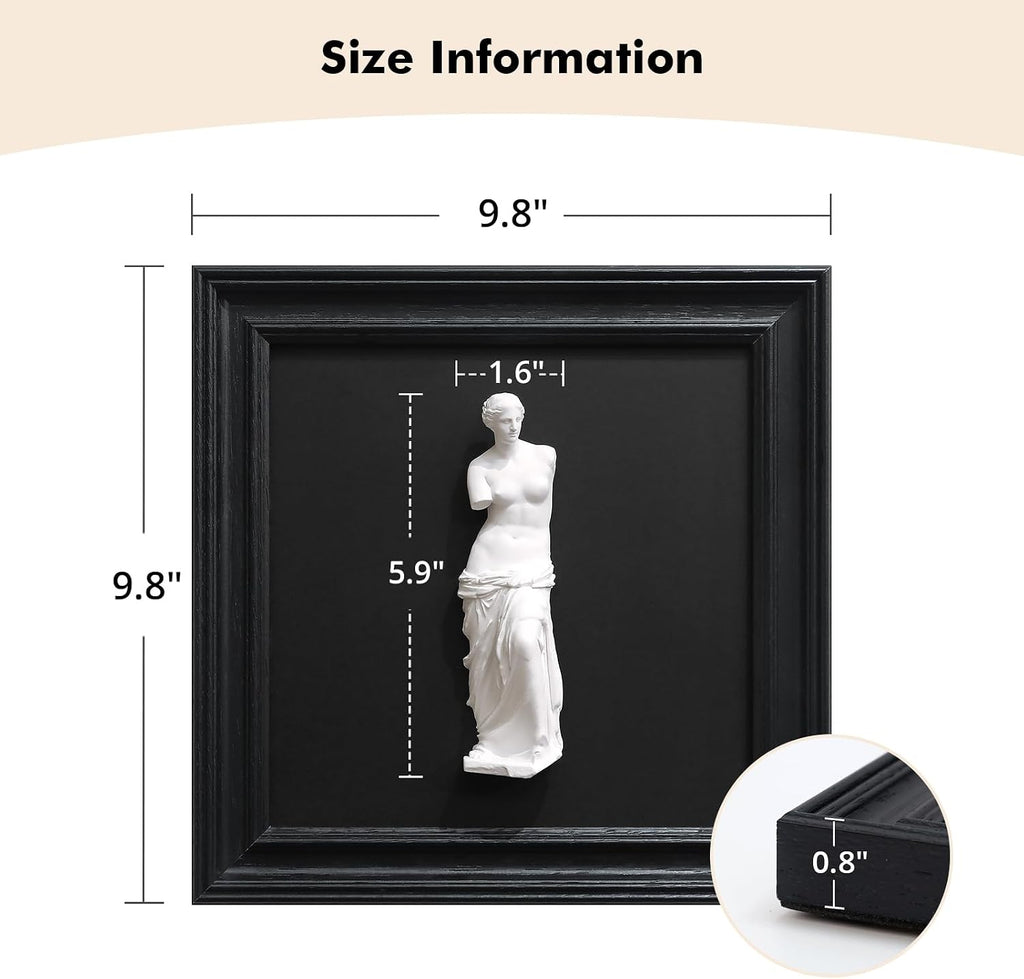 Framed Black and White Wall Sculpture Venus de Milo