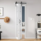 Bifold Barn Door 24x84 Inch (Double 12x84), Preassembled White Frosted Glass Cross Transparent Bifol
