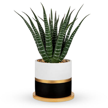 Artificial Succulent Plant in Pot with Bamboo Tray, Faux Agave Potted Plant, Realistic Aloe Fake Plant Desk, Shelf