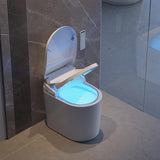 Homary Modern Smart Toilet, One-Piece Elongated Intelligent Bidet Toilet with Auto Flush, Heated Seat, Warm Water