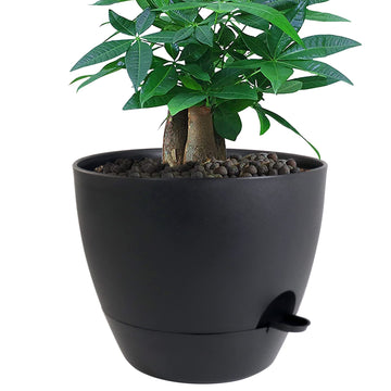 12 inch Large Self Watering Pots, Plastic Planters with 60oZ Removable Deep Reservoir and Multi Mesh Drainage Holes