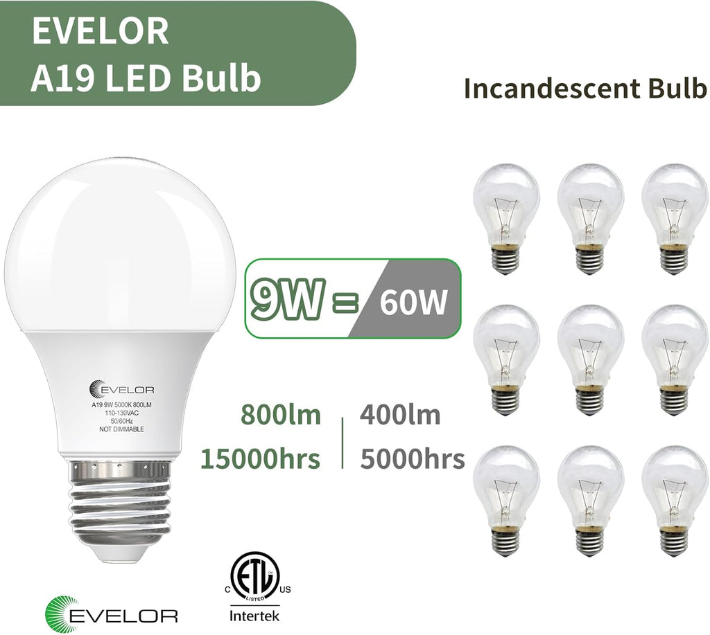 6-Pack A19 LED Light Bulbs,60 Watt Equivalent Daylight 5000K with E26 Base,Efficient 9W,800 Lumens Non-Dimmable LED