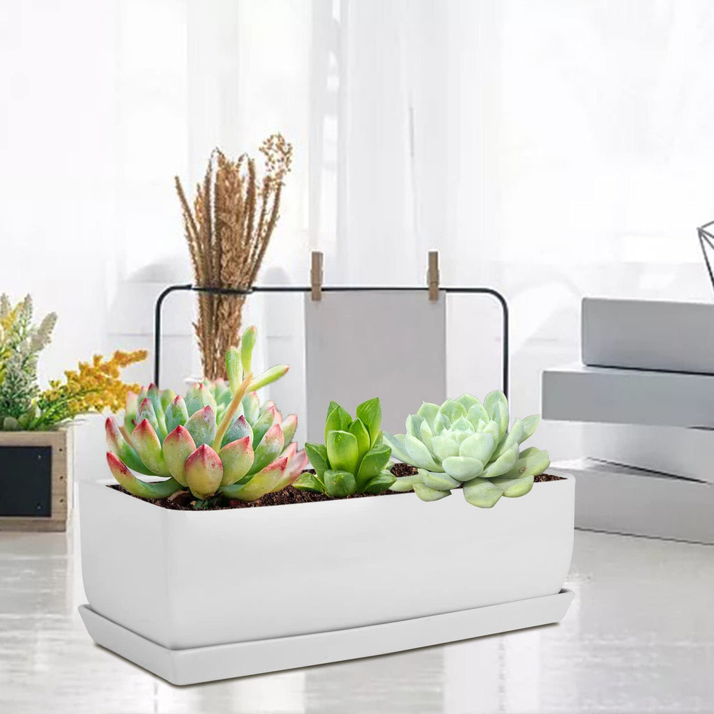 14 Inch Rectangular Modern Minimalist Ceramic Succulent Planter Pot - Window Box with Saucer, Office Desktop Potted