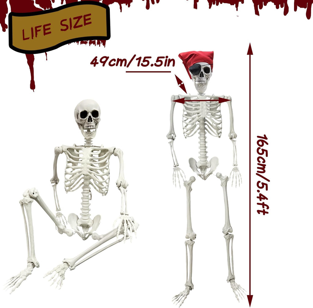 5.4Ft Halloween Skeleton Life Size Skeleton with Posable Joints