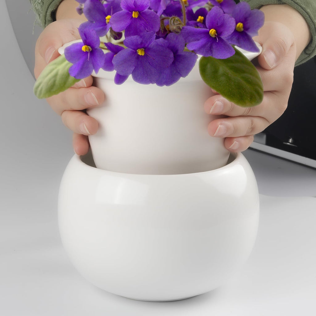 6 Inch Self Watering Ceramic African Violet Pot Flower Pot Indoor