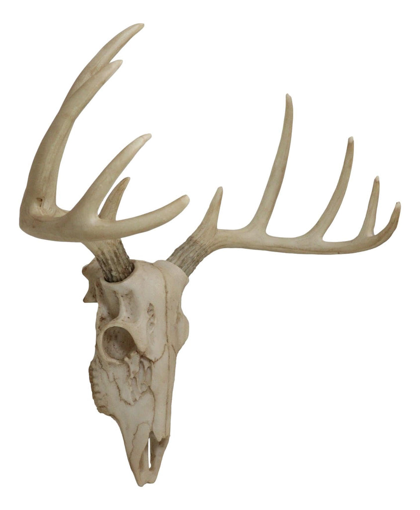 Rustic Hunter Deer 10 Point Buck Skull Trophy Antlers Wall Mounted Plaque Decor Figurine 14.25" Long Hunter's Antler