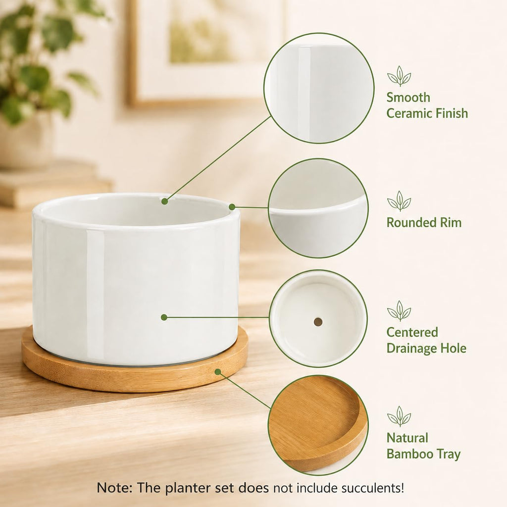 12 Pack 3.1" Ceramic Succulent Pots, White Planter with Drainage Tray