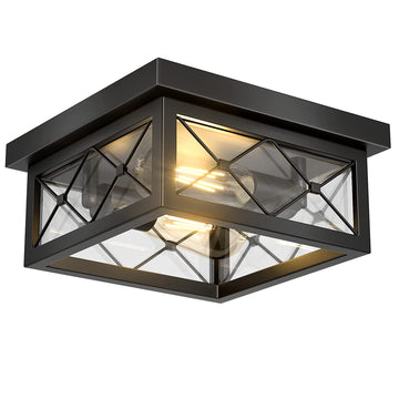 Farmhouse Light Fixtures Ceiling Mount, 2-Light Black Flush Mount Ceiling Light with Clear Glass Shade, Metal Cage