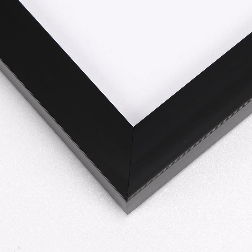 16 Pack Black Picture Frames for Multi Sizes Photos, Assorted Set Including Two 11x14, Two 8x10, Six 5x7, Six 4x6