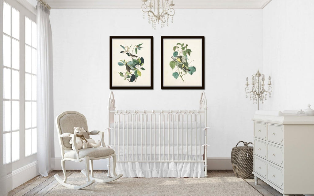 Bird Wall Art Audubon Birds Print Set No. 6, 11X14 SET OF 2, Unframed