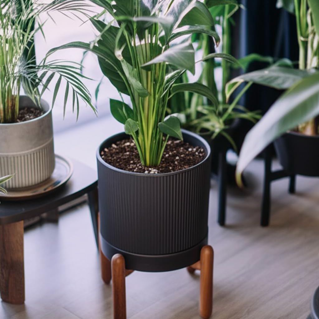 8 Inch Ceramic Planter with Natural Wood Stand w/Drainage & Saucer - Modern Indoor Planter for Cacti, Snake Plants &