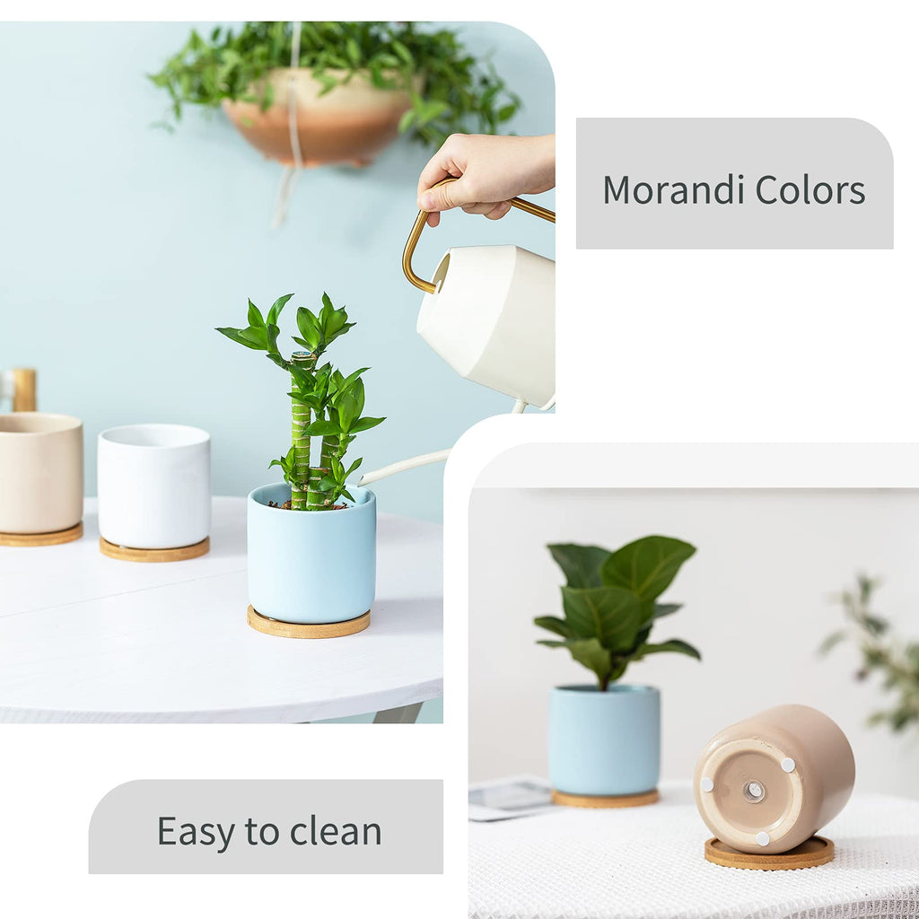 4 Inch Planters with Drainage Hole and Saucer, Small Ceramic Cylinder Plant Pot with Trays for Succulent, Aloe