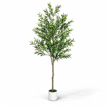 6ft Olive Trees Artificial Indoor-Artificial Plants indoor with Silk Leaves
