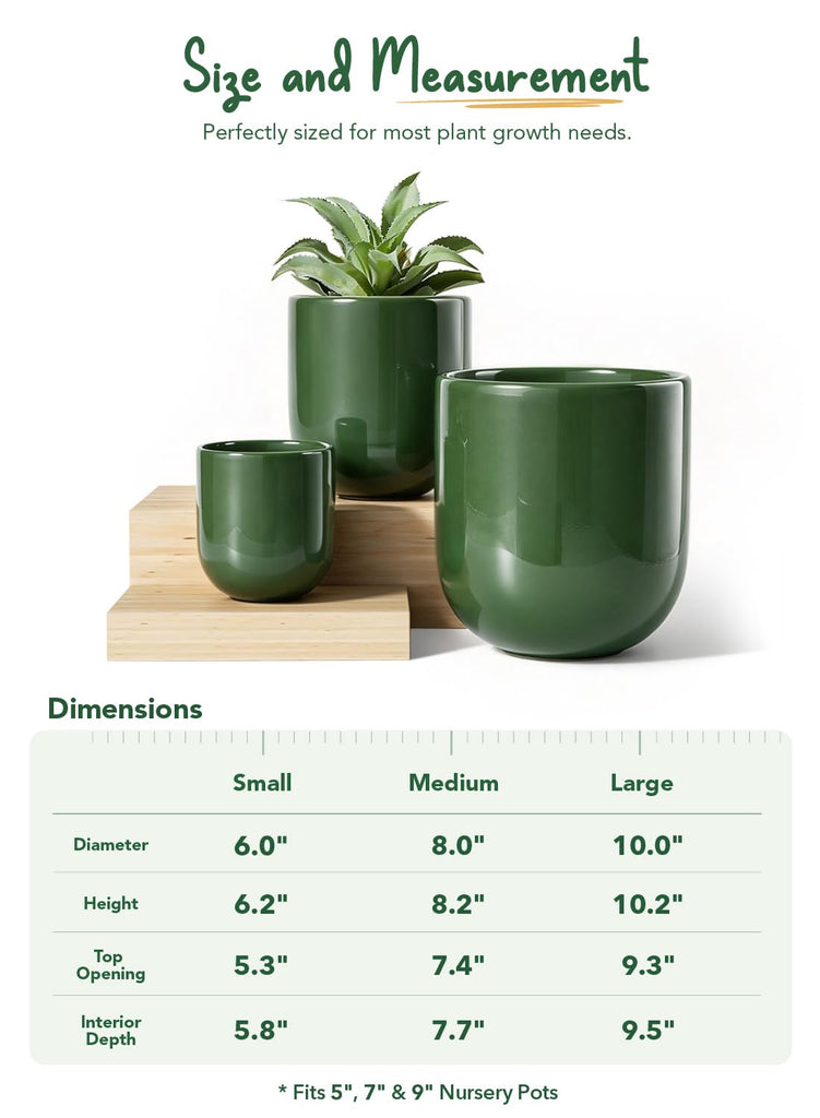 6, 8 & 10 Inch Ceramic Planter Set for Indoor Plants, Bamboo Green