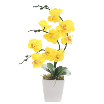 15" Silk Phalaenopsis Orchid in Square Pot, Yellow Flower Plant Arrangement