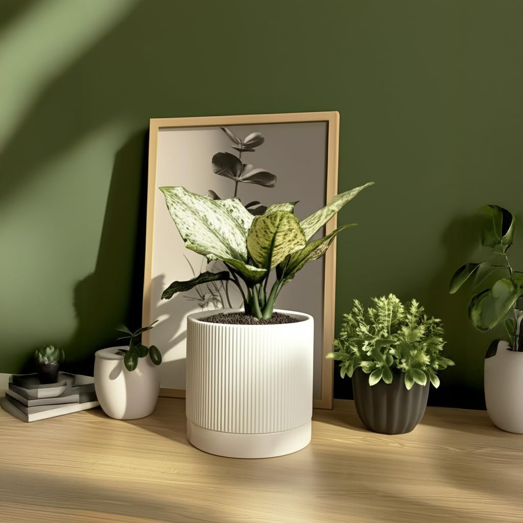 6 Inch Ceramic Plant Pot with Drainage & Saucer - Indoor Planter for Succulents, Cacti & Aloe Vera - Striped Design