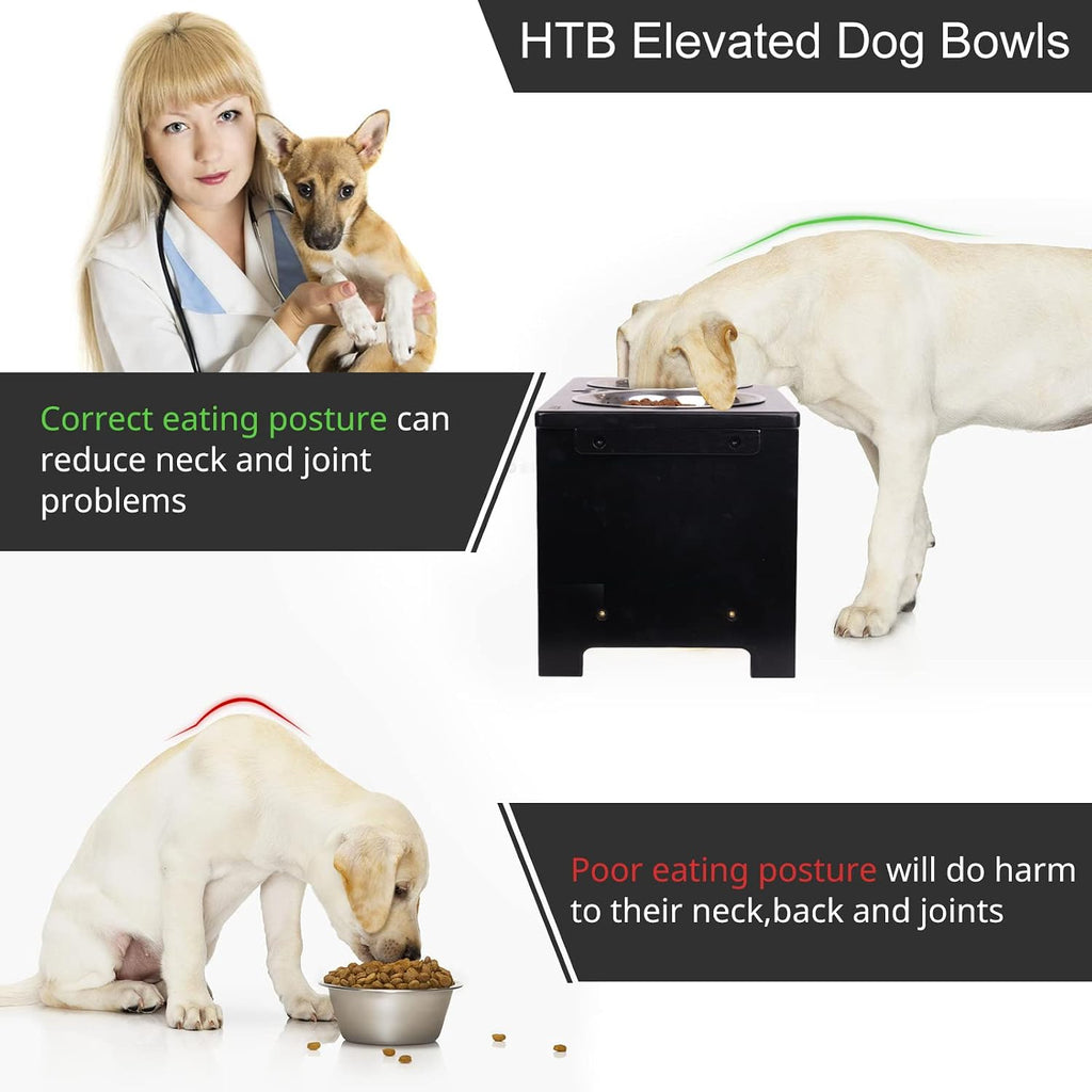 Elevated Dog Bowl Stand with 2 Stainless Steel Bowls-10 H Large Black