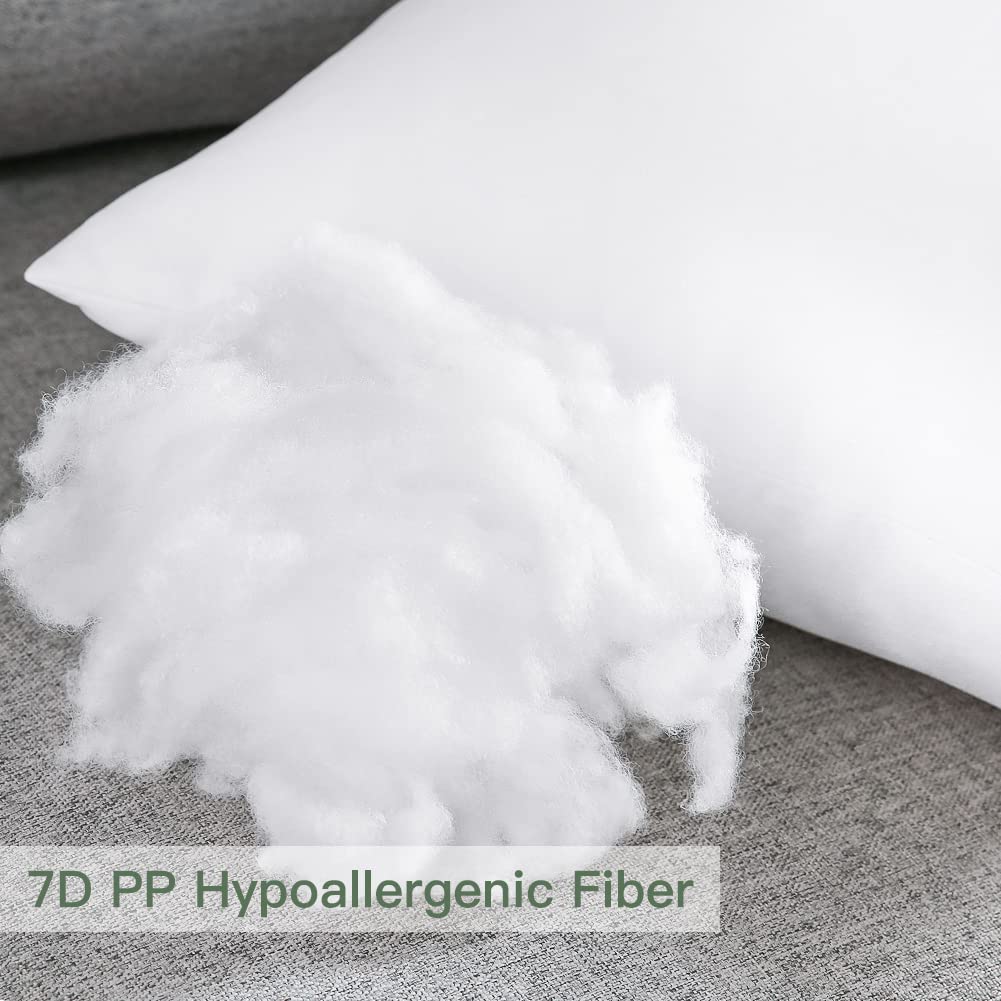 Pack of 2 Throw Pillow Inserts, 20 x 20 Square Cushion Inner Soft Fluffy Plump Stuffer Cushion Pads White Decorative