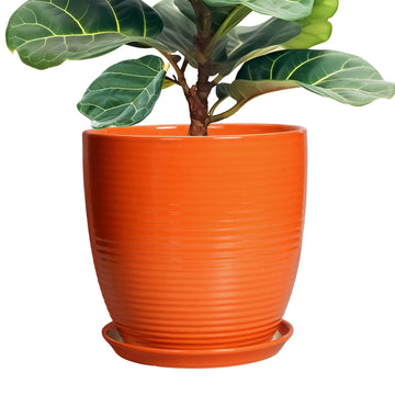 12 Inch Plant Pot, Ceramic Planters for Plants with Drainage and Saucer, Orange