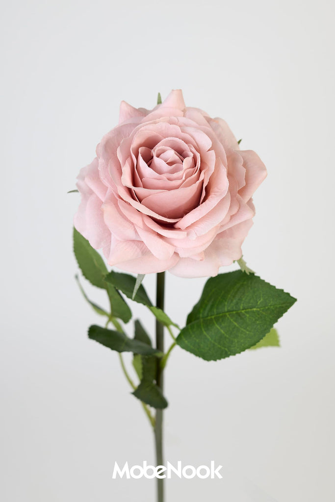 Real Touch Artificial Roses, 6 Stems Faux Flowers (Cream Pink)