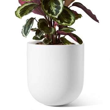 8 Inch Ceramic Plant Pot, Indoor Planter, White