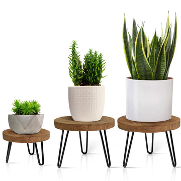 Plant Stand Indoor Outdoor, Wooden plant Stool, Mid Century Plant Stand for Indoor Plants, Wood Modern Plant Holder