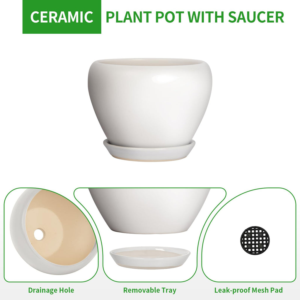 8 Inch Plant Pot - Ceramic Planter with Drainage Hole and Trays, Modern Round Flower Pot, Planters for Indoor Outdoor