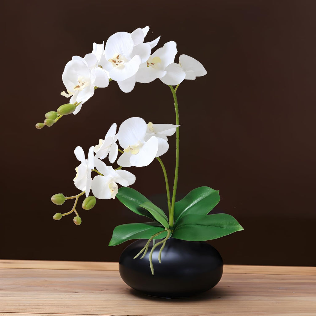 2 Branches Artificial White Phaleanopsis Flowers Faux Orchids Stems Leaves Plants Bonsai Garden Decoration (White)