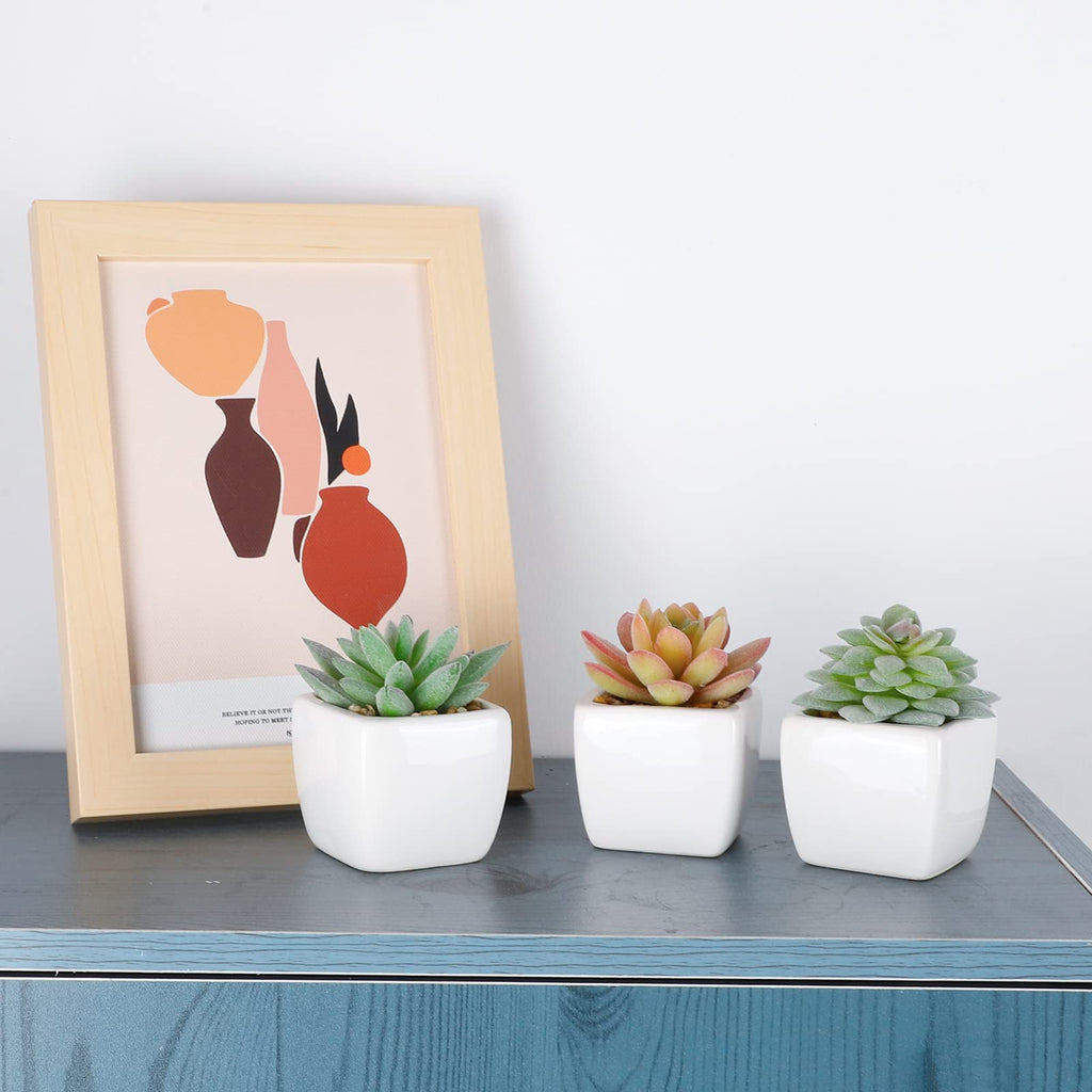5pcs Artificial Succulent Plants, Small Fake Desk Plants Mini Succulents Indoor for Shelf Living Room Bedroom