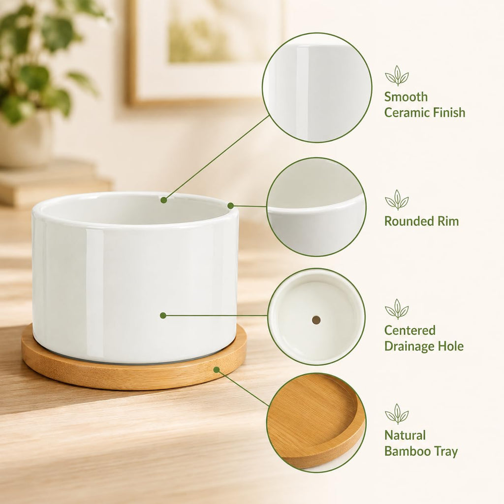 12 Pack 3.6" Ceramic Succulent Pots, White Planter with Drainage Tray