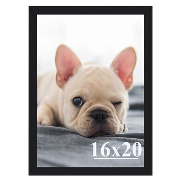 16x20 Picture Frames, Simple Designed Photo Frame, Certificate Document Frame for Horizontal and Vertical Formats, 16x20