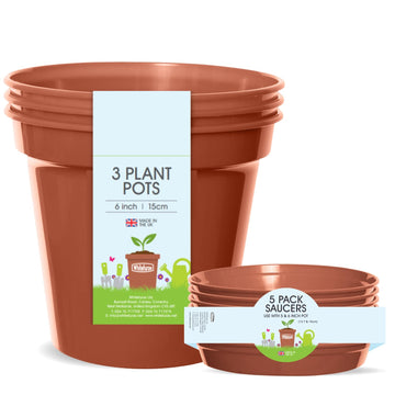 Plant Pot Set, Terracotta, 6 Inch/15 Centimeters